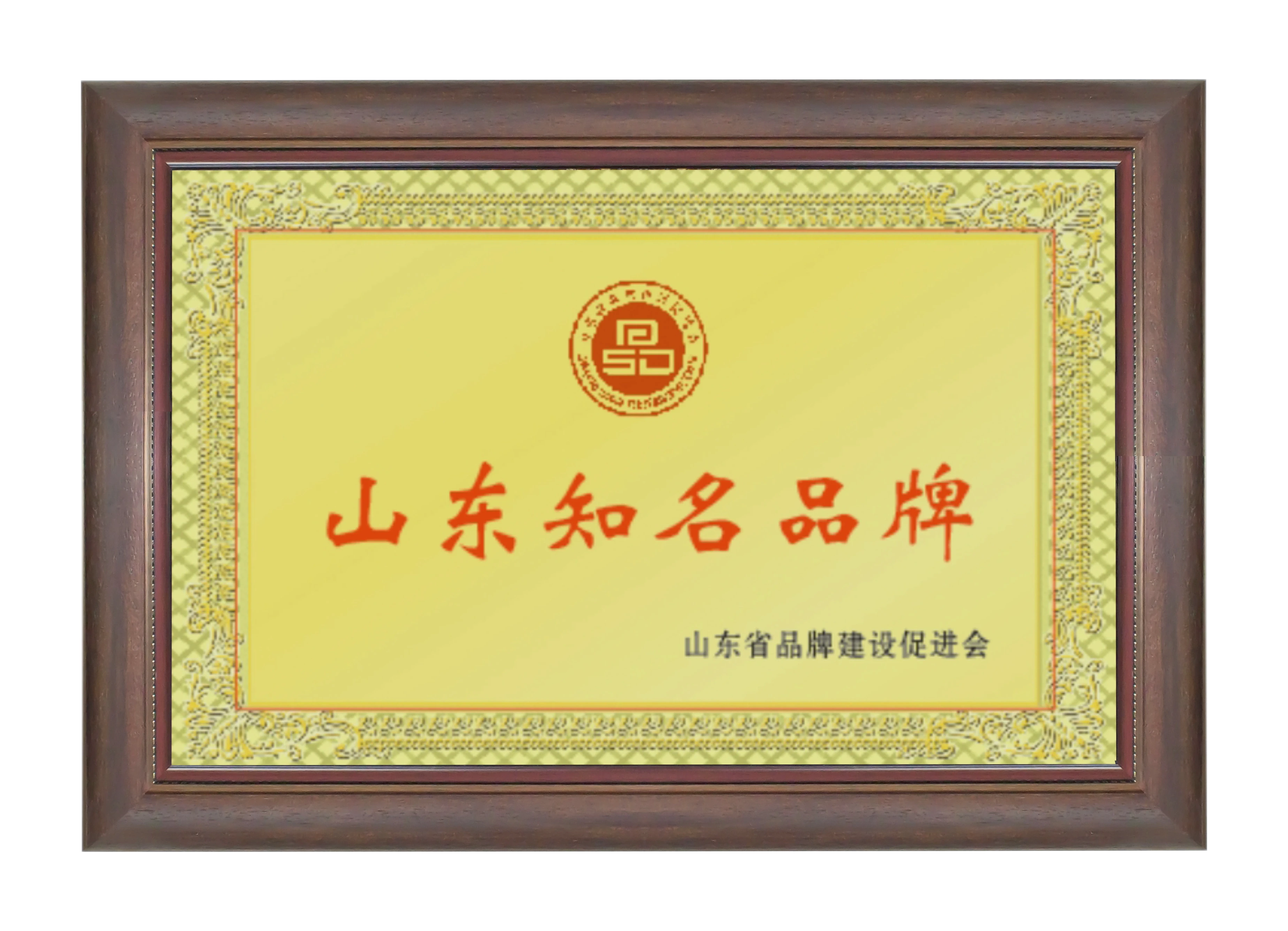 Qualifications and Honors